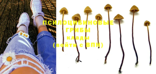 mdpv Мегион