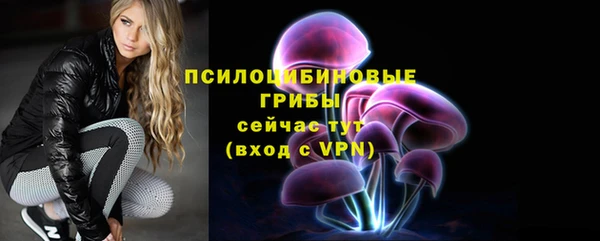 mix Снежногорск