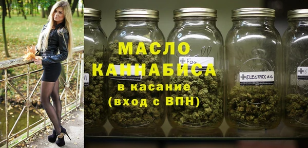 тгк Дмитров