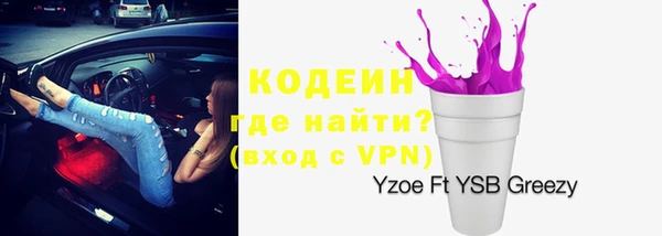 молекула духа Медвежьегорск