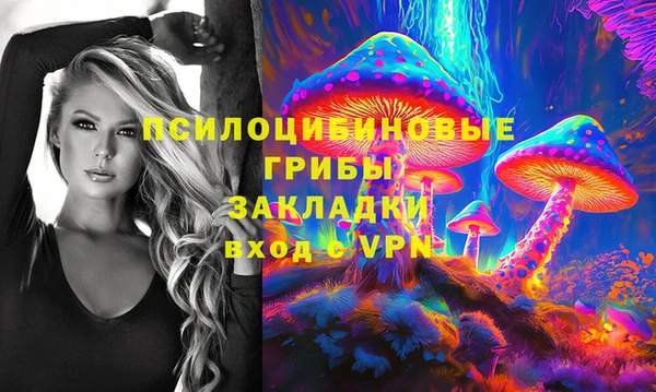 молекула духа Медвежьегорск