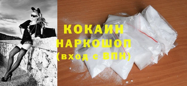 молекула духа Медвежьегорск