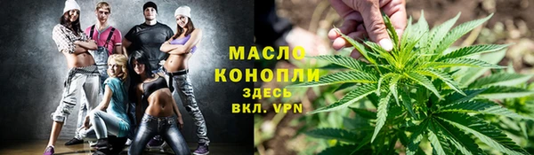 молекула духа Медвежьегорск