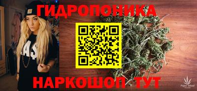 спиды Аргун