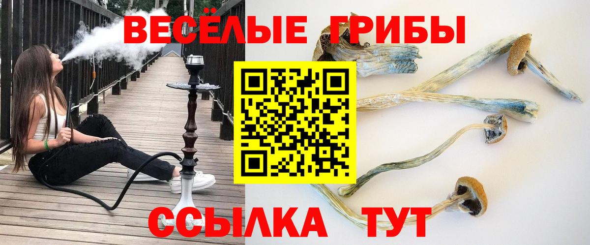 Галлюциногенные грибы Psilocybine cubensis Дюртюли